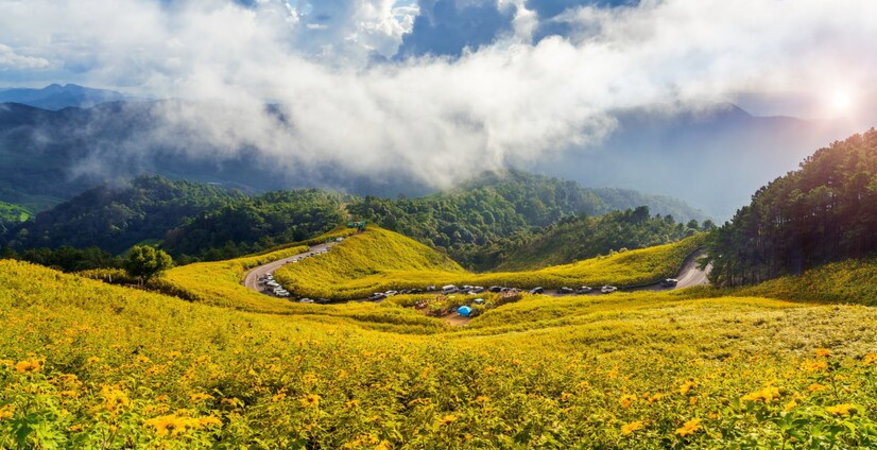 tung-bua-tong-or-mexican-sunflower-field-at-mae-hong-son-province-in-thailand_335224-1174