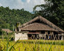 low-angle-shot-of-a-wooden-building-in-a-tree-forest-in-vietnam-under-the-cloudy-sky_181624-7991
